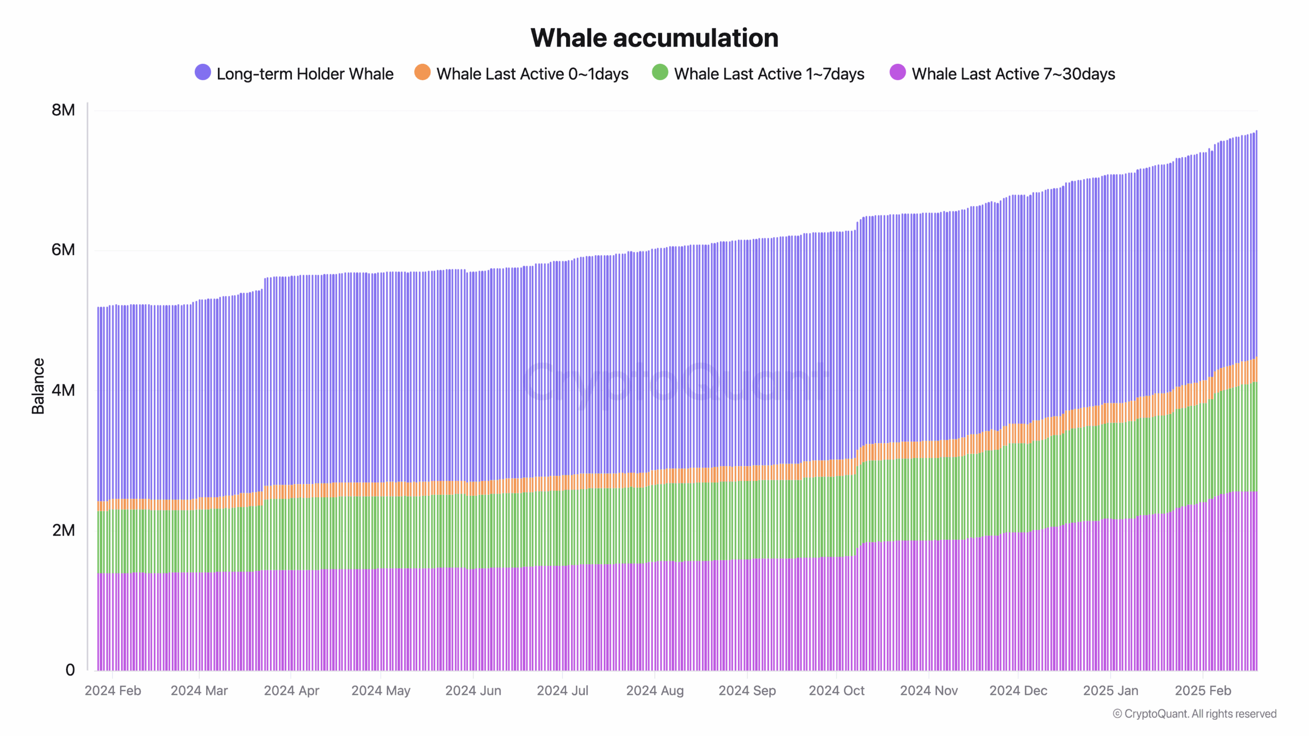 Whale accumulation 2 scaled