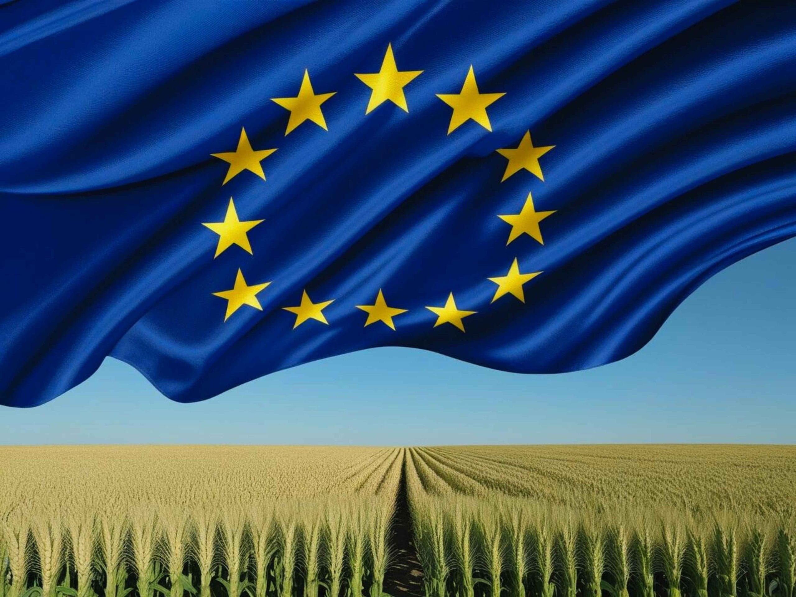 Adsiz tasarim scaled 1