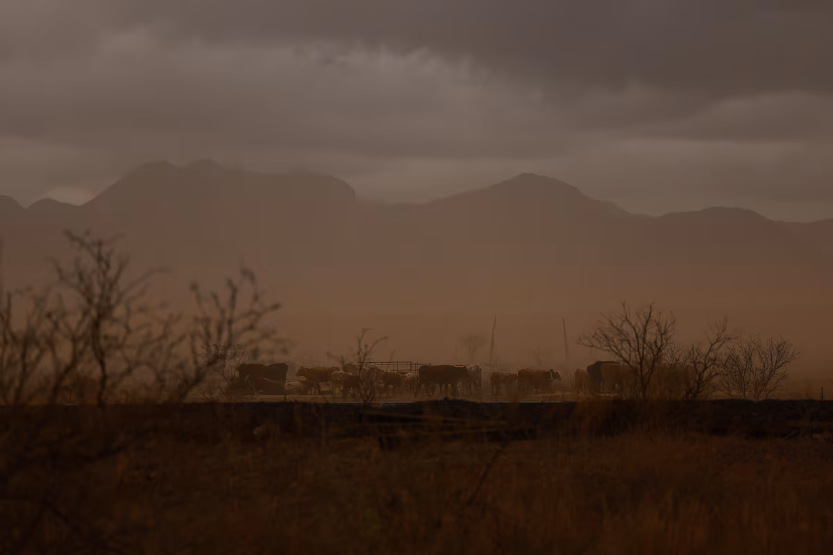 IAOFYTNPVJKLDJASO56G6CGCVA