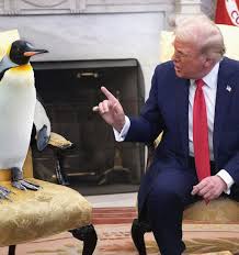 WhatsApp Gorsel 2025 04 07 saat 06.01.57 58c0e050