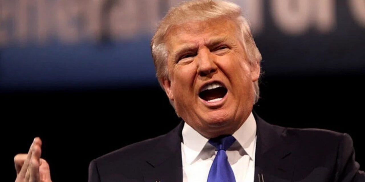 WhatsApp Gorsel 2025 05 30 saat 17.47.02 9c6c7841