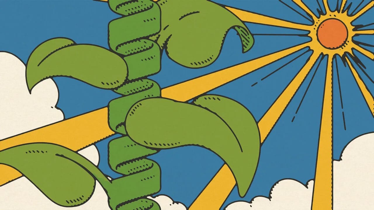 WhatsApp Gorsel 2025 07 07 saat 15.57.32 2b16f5da