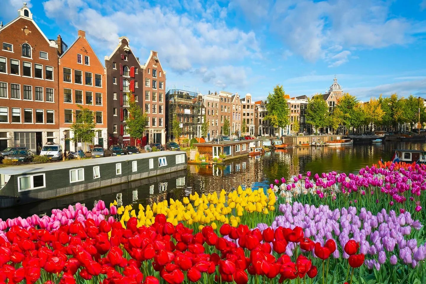 WhatsApp Gorsel 2025 08 05 saat 19.27.06 528e26a2