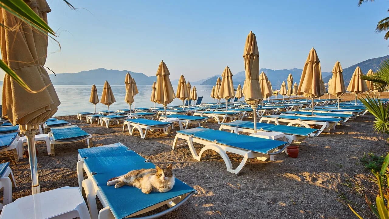 WhatsApp Gorsel 2025 09 06 saat 18.34.07 88712af0