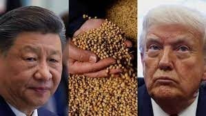 WhatsApp Gorsel 2025 10 02 saat 02.12.43 15d5471a