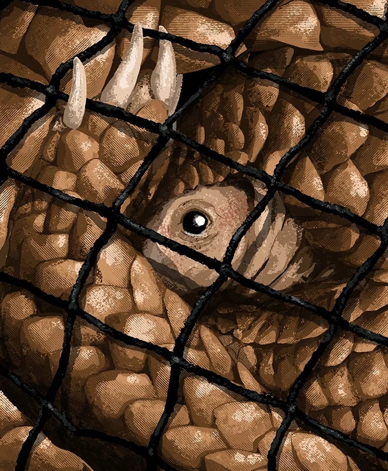 WhatsApp Gorsel 2025 10 19 saat 10.54.27 5e273695