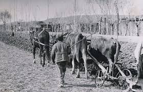 WhatsApp Gorsel 2025 10 29 saat 08.34.26 a9e6d180