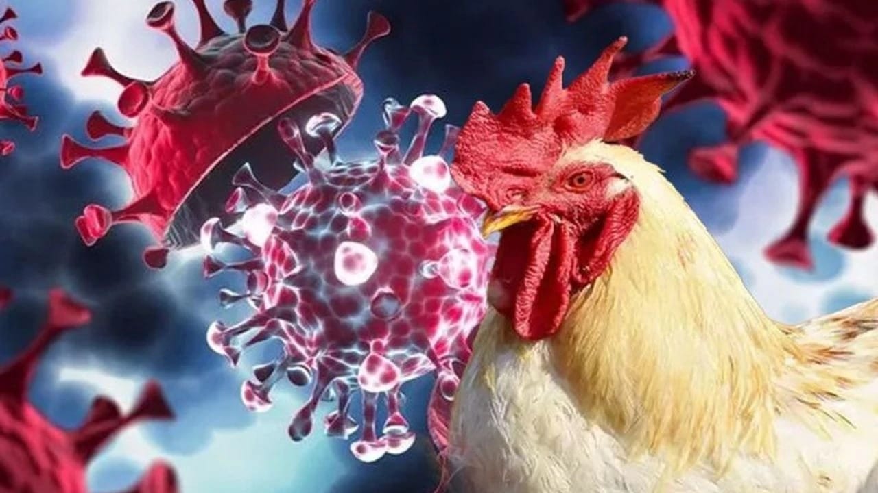 WhatsApp Gorsel 2025 11 06 saat 18.25.53 bd8db9d9