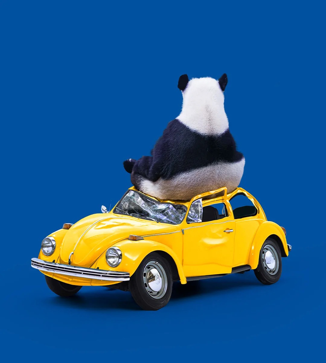 WhatsApp Gorsel 2025 11 20 saat 21.56.52 ef2976c1