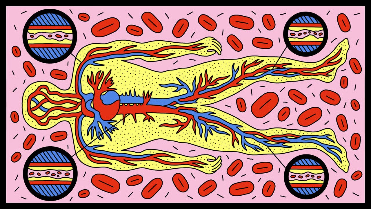 WhatsApp Gorsel 2025 11 30 saat 18.18.37 6a9ca4fe