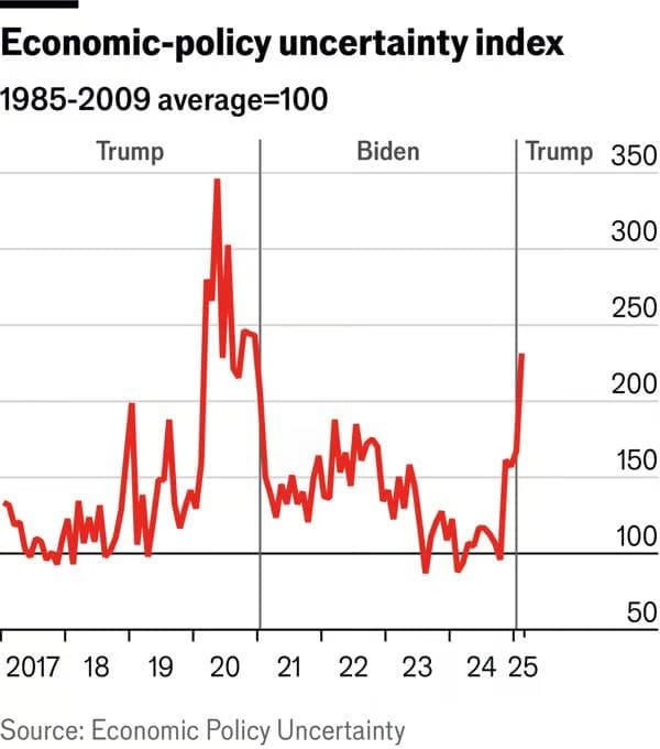 WhatsApp Image 2025 03 23 at 00.19.08 1