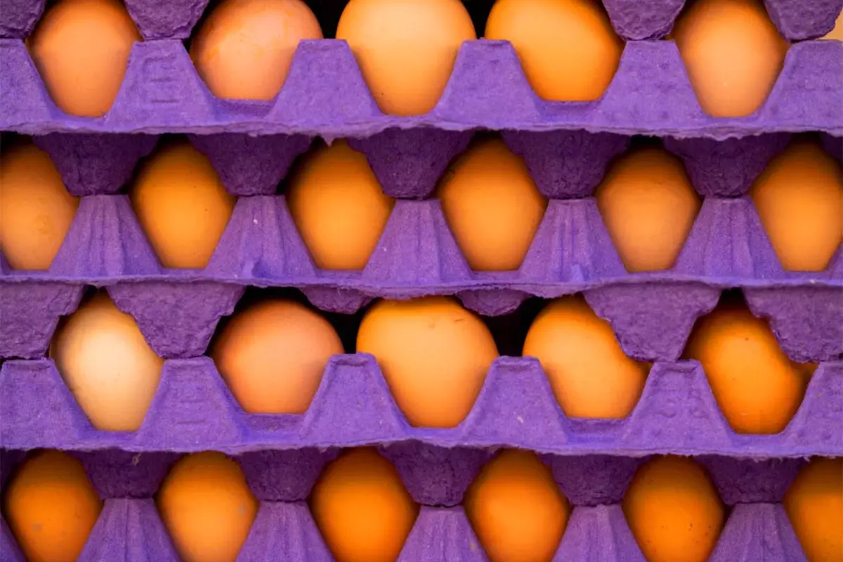 abd 7 bin ton turk yumurtasi aldi bizdeki yumurta fiyati etkilenir mi FNCCHMqh