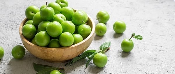 erik kg 2250 tl 0 qRaw85iq