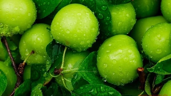 erik kg 2250 tl 1 Zt48XAIE