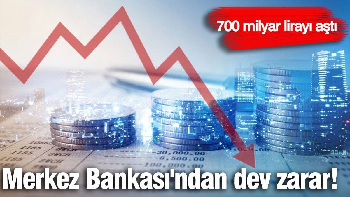 merkez bankasindan vev zarar 700 milyar lirayi asti N1mRdyN9