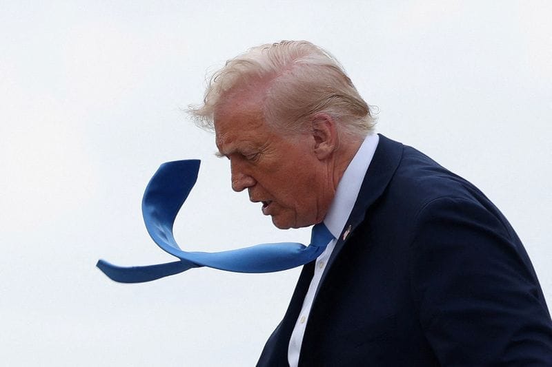 moved LYNXNPEL301PG L