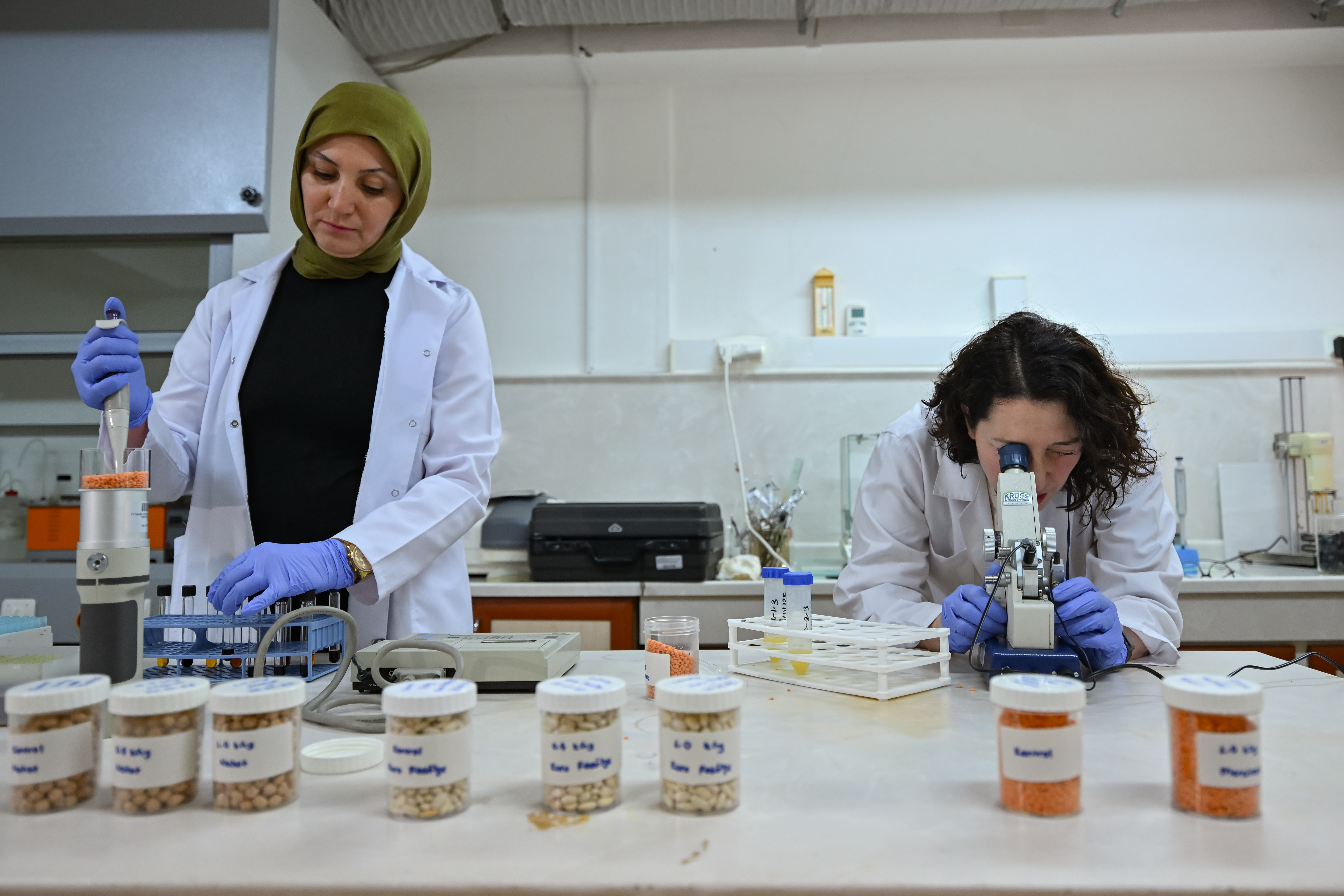 nukleer tekniklerden isinlama uygulamalariyla gidalarin guvenligi artiriliyor 8 muI7lmSD