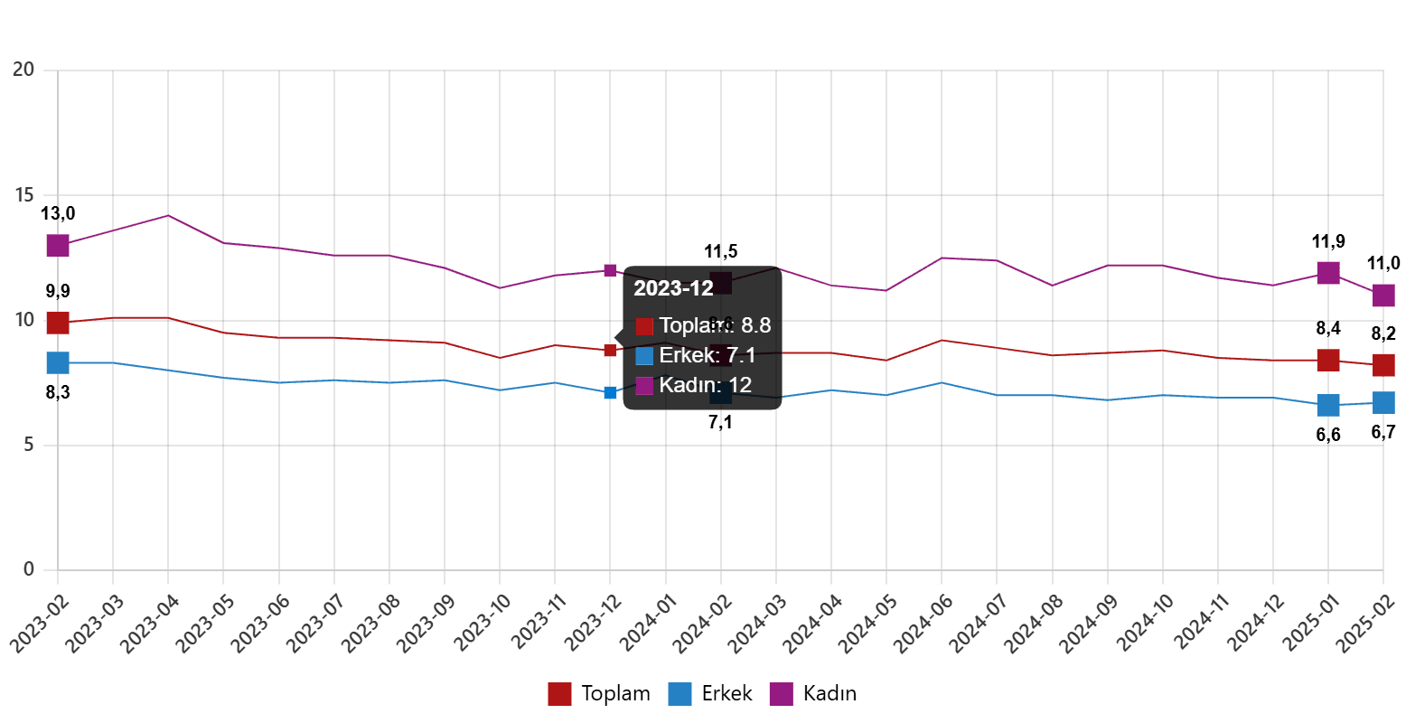 tuik subat 2025 isgucu istatistikleri aciklandi 0 jJsaBlfb