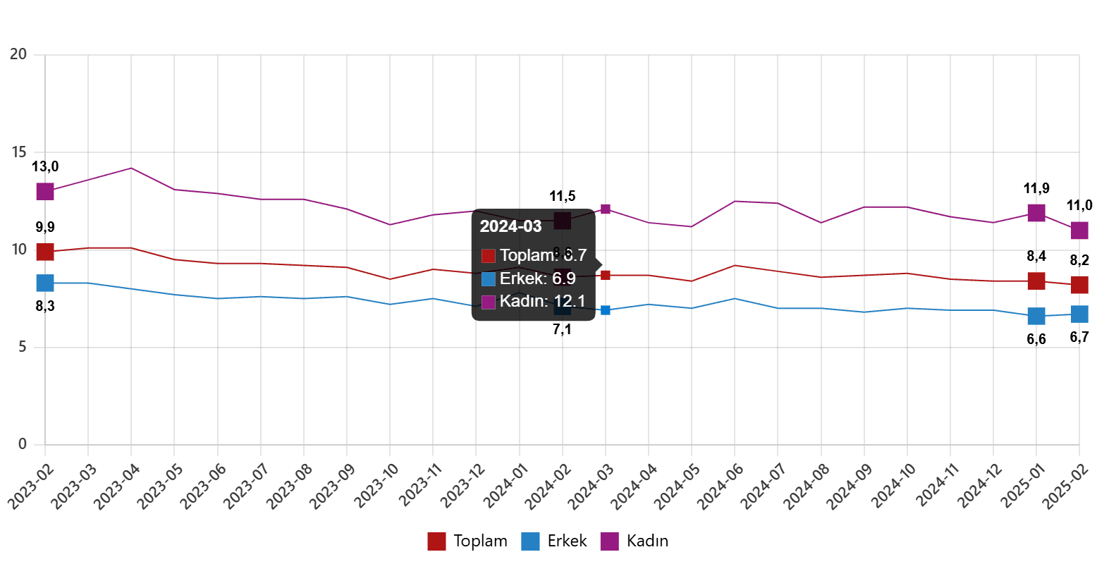 tuik subat 2025 isgucu istatistikleri aciklandi 1 OzOG7A15