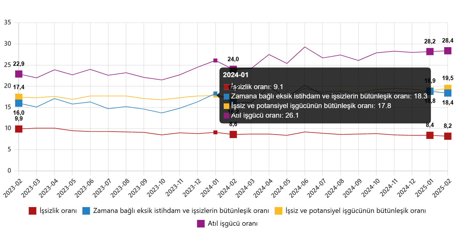 tuik subat 2025 isgucu istatistikleri aciklandi 3 Pz95Bykw