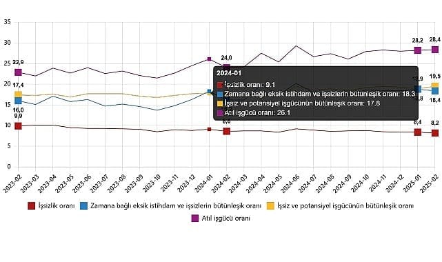 tuik subat 2025 isgucu istatistikleri aciklandi szgGgyOh