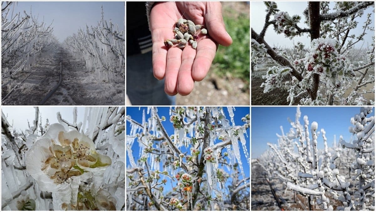 zirai don turkiyenin bircok ilde etkili oldu 0 pvkHqRF6