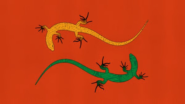 WhatsApp Gorsel 2025 12 05 saat 00.18.44 81fe4bfc