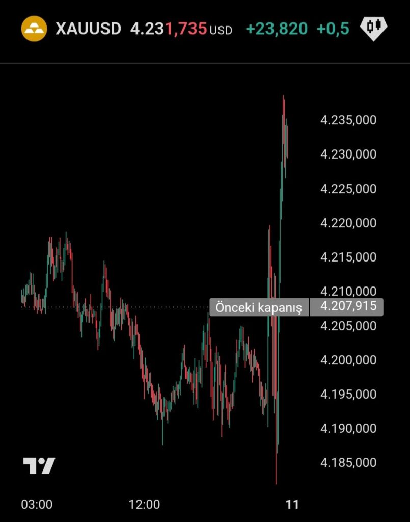 WhatsApp Gorsel 2025 12 11 saat 00.04.46 a50d956b