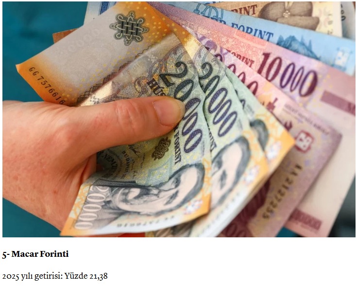 WhatsApp Image 2025 12 31 at 21.55.09