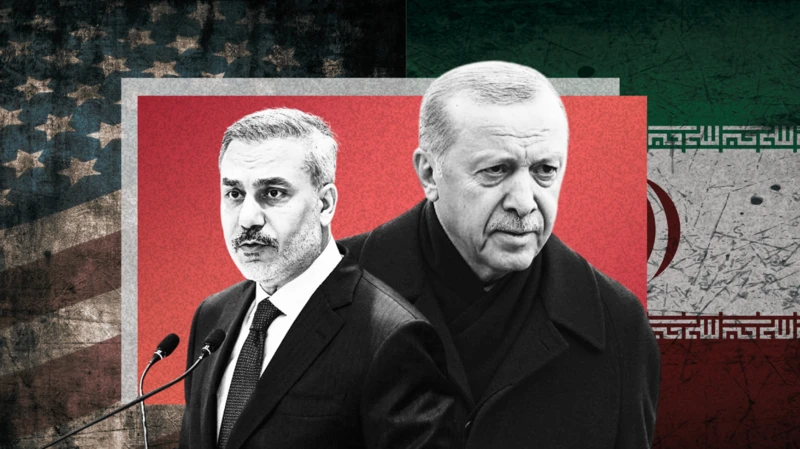 912e2240 fd0c 11f0 a8b8 bdd2c5f9bcad.png