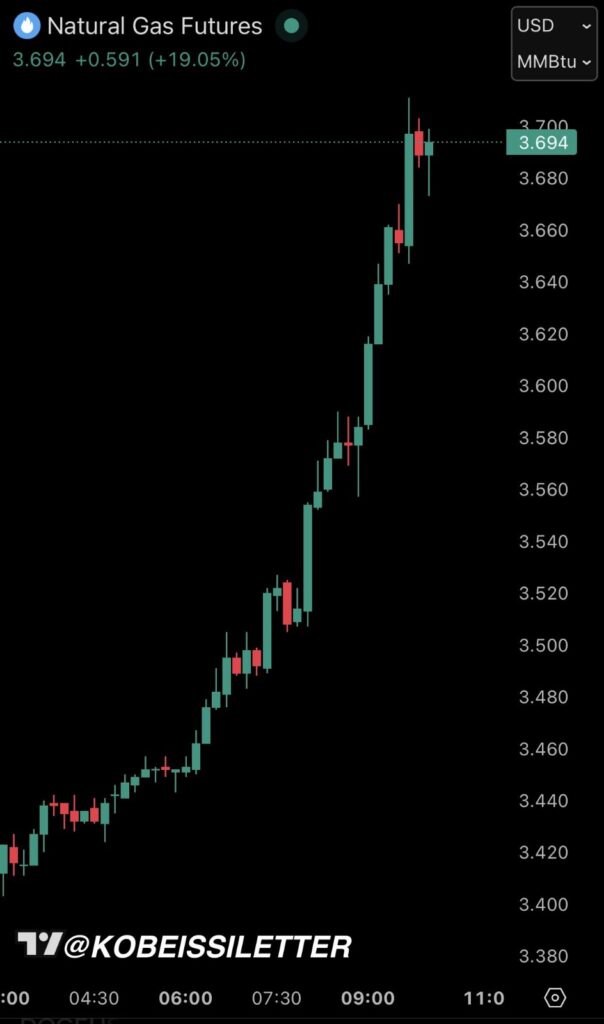 WhatsApp Image 2026 01 20 at 01.14.04 1