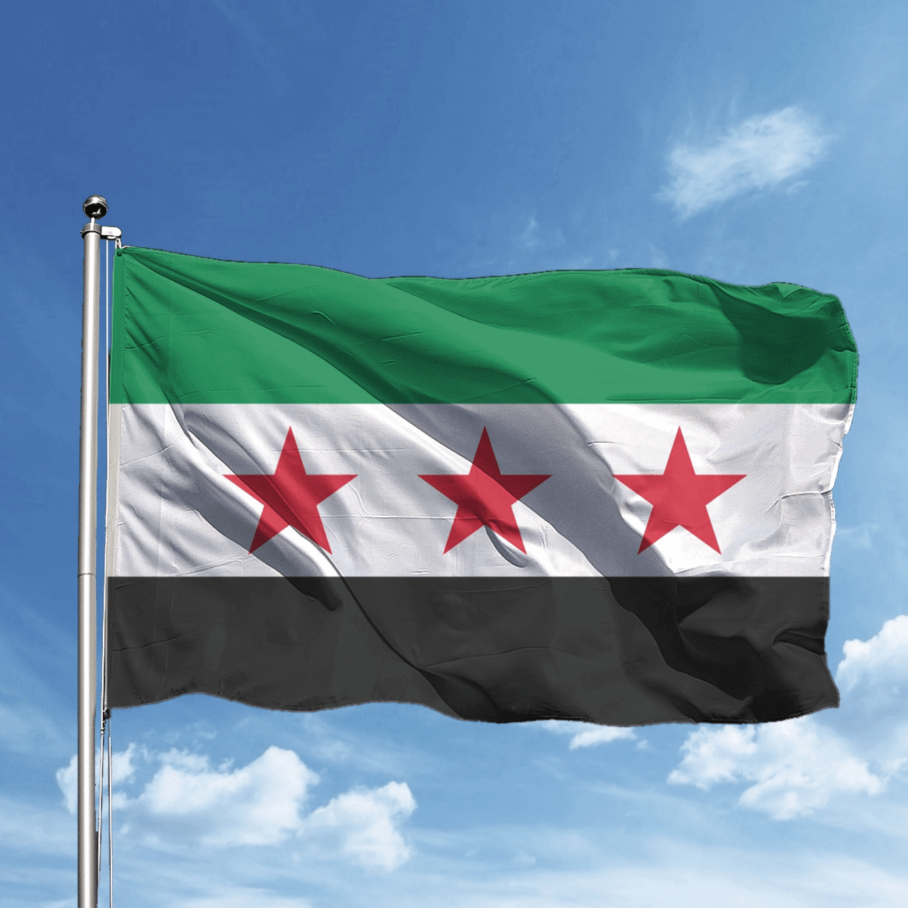 yeni suriye bayragi 1