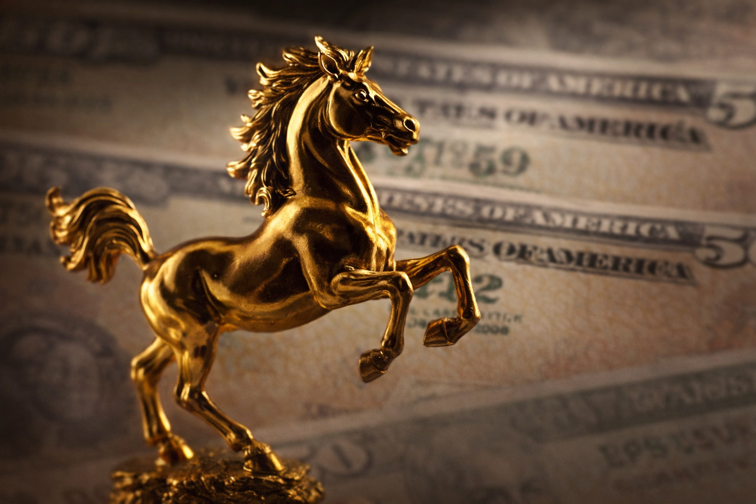 1b9a7a5a 569a 4e6f a850 eddd0bf8dce5