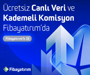Fibayatırım