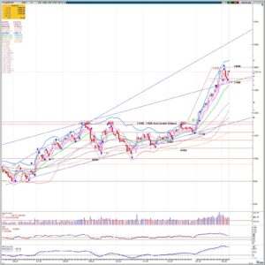 WhatsApp Image 2026 02 11 at 09.08.02