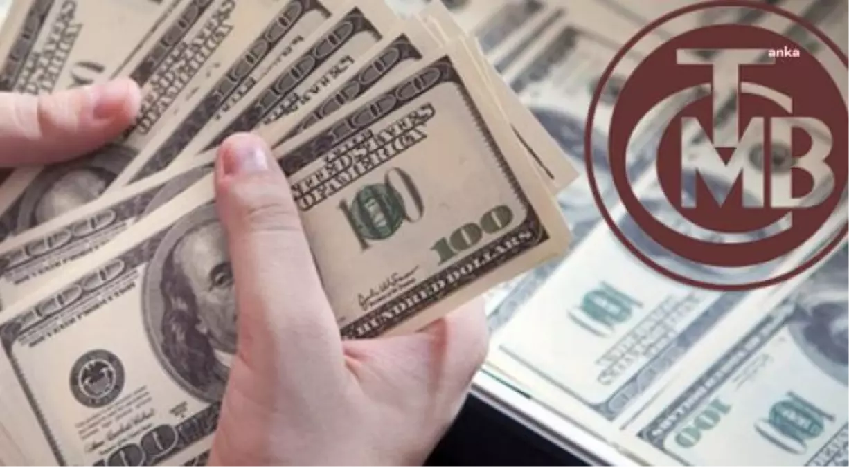 tcmb doviz varliklari yuzde 9 8 azalarak 52 2 15019965 amp