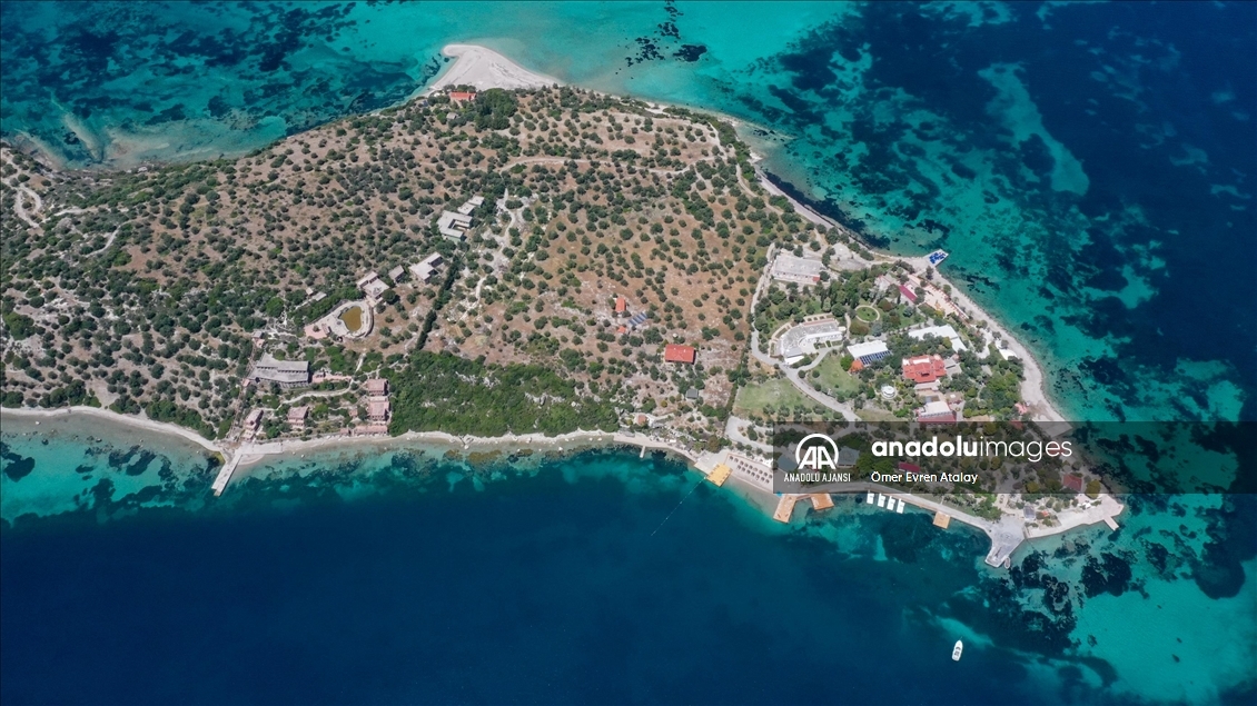 thumbs b2 fd657d01ef50274c3d9a4ed7d1e75e8f