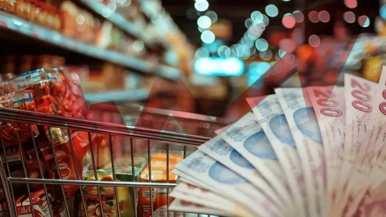 newsletter 1775372414626