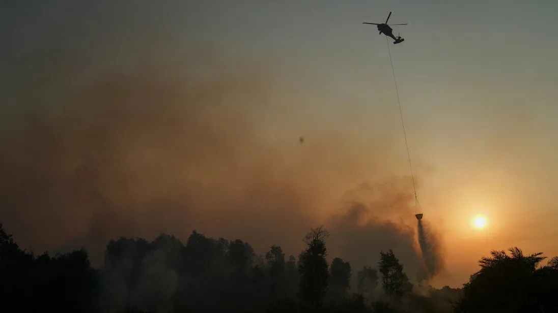 El Niño alarmı: Güneydoğu Asya’da orman yangınları ve hava kirliliği riski artıyor